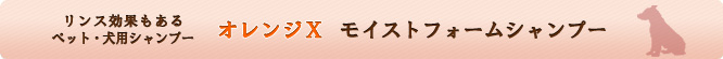 リンス効果もあるペット・犬用シャンプー　オレンジXモイストフォームシャンプー