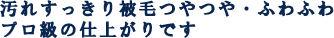 汚れすっきり被毛つやつや・ふわふわプロ級の仕上がりです