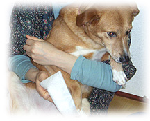 天然保湿成分入りなのでデリケートなペットや手あれでお困りの方にも最適