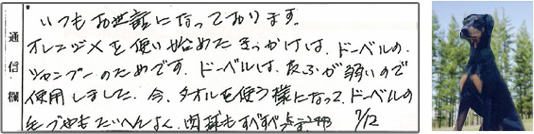 ドーベルのためのシャンプー