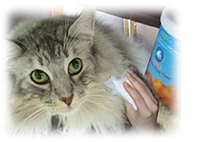 ペットのスキンケアはもちろん、拭き掃除や食器洗浄にも使える優れもの